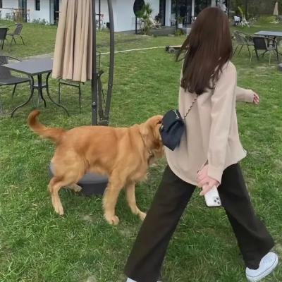 这个傻瓜
